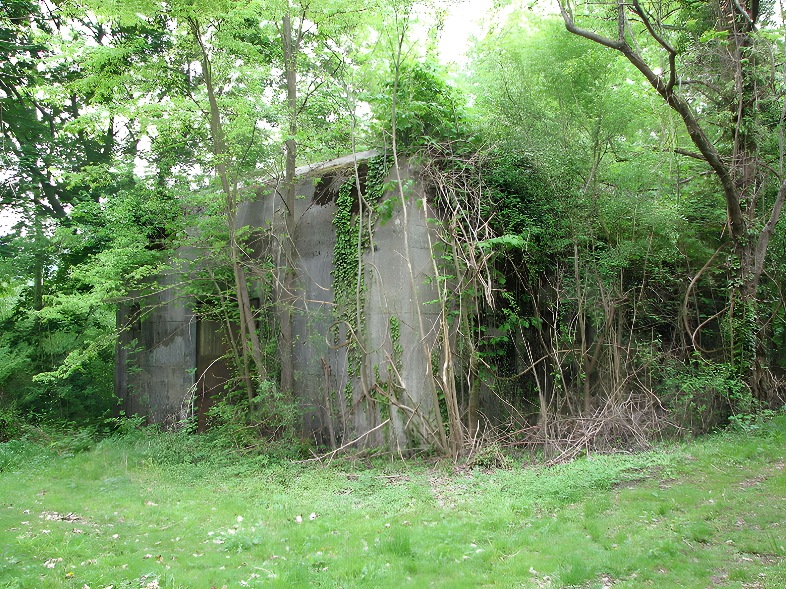 Camp fortifié dit  Wolfschlucht 2  ou  W 2