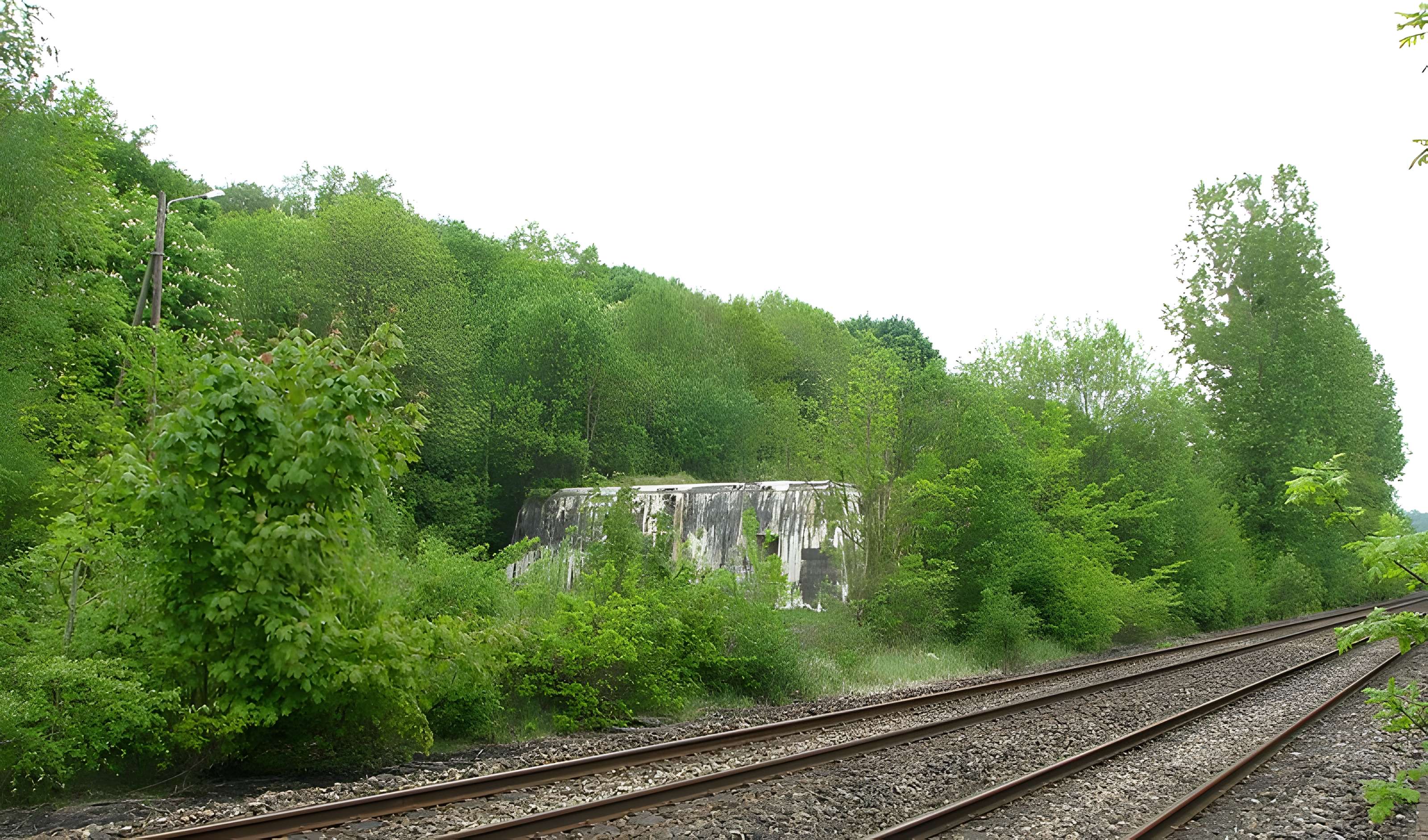 Camp fortifié dit  Wolfschlucht 2  ou  W 2
