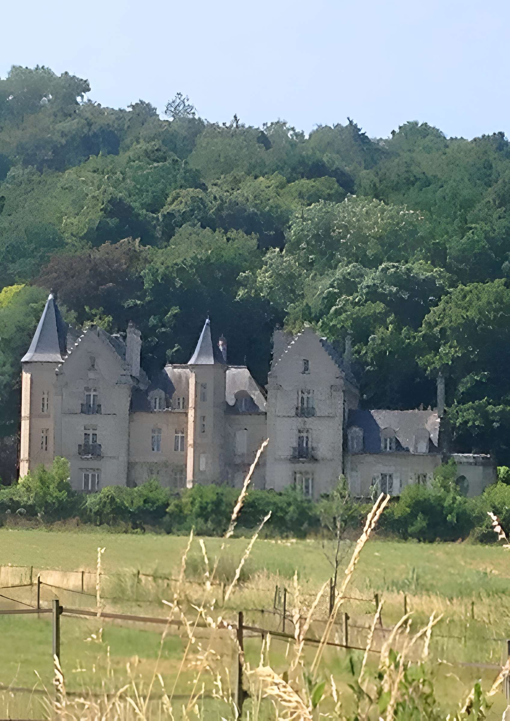 Domaine du château du Montois