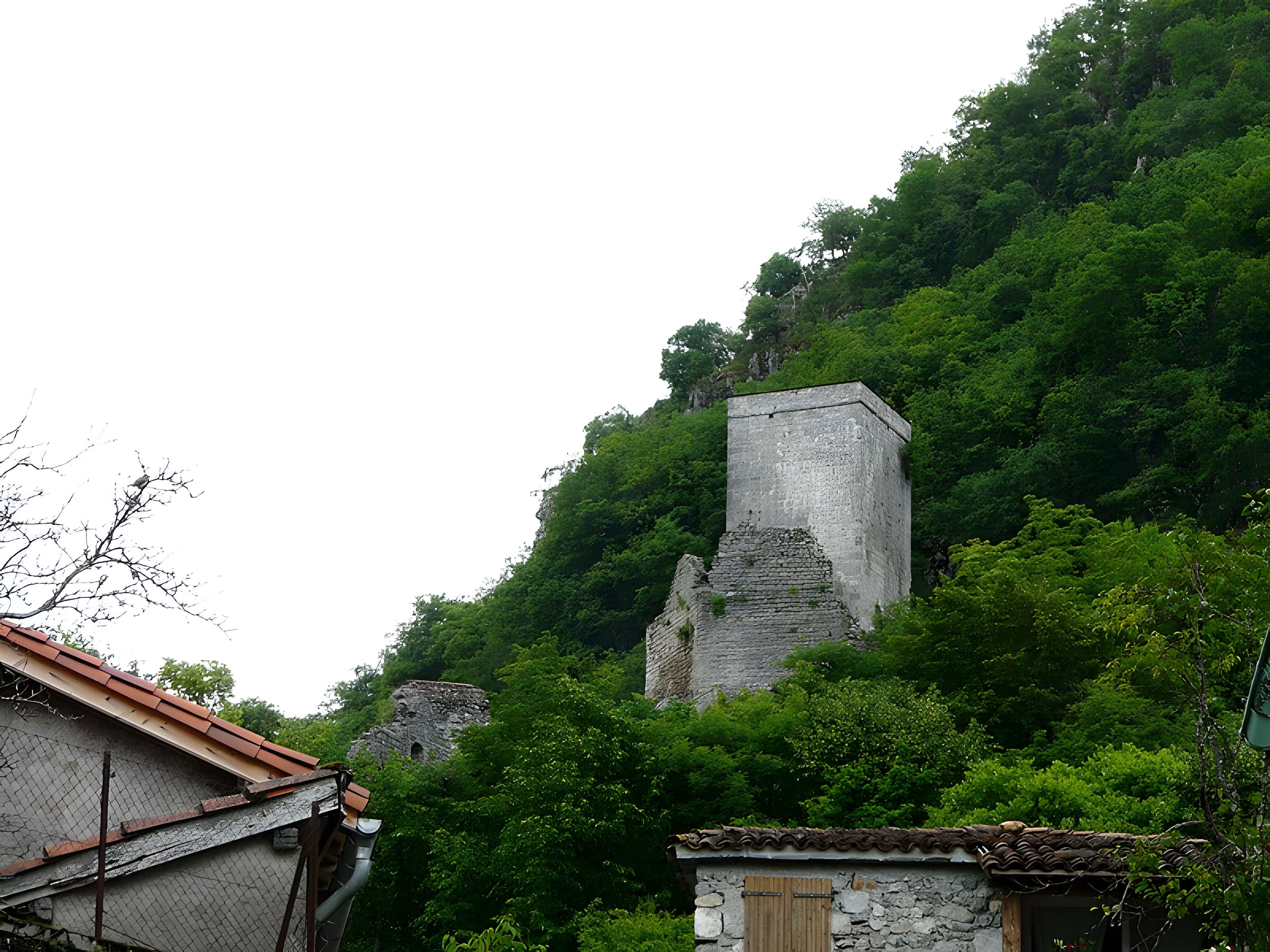Château des Comtes de Comminges