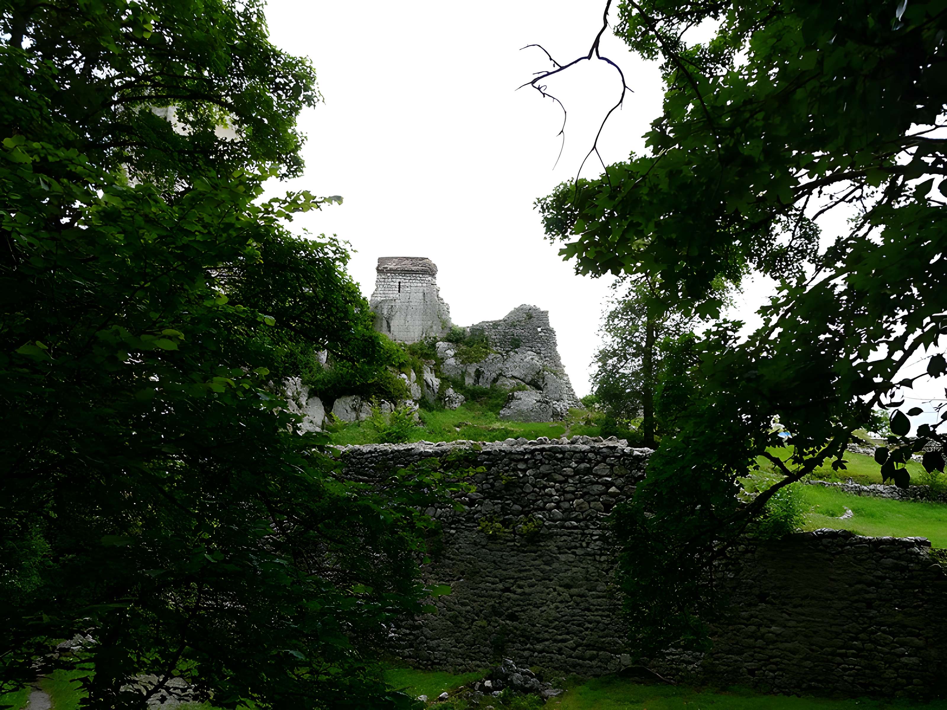 Château des Comtes de Comminges