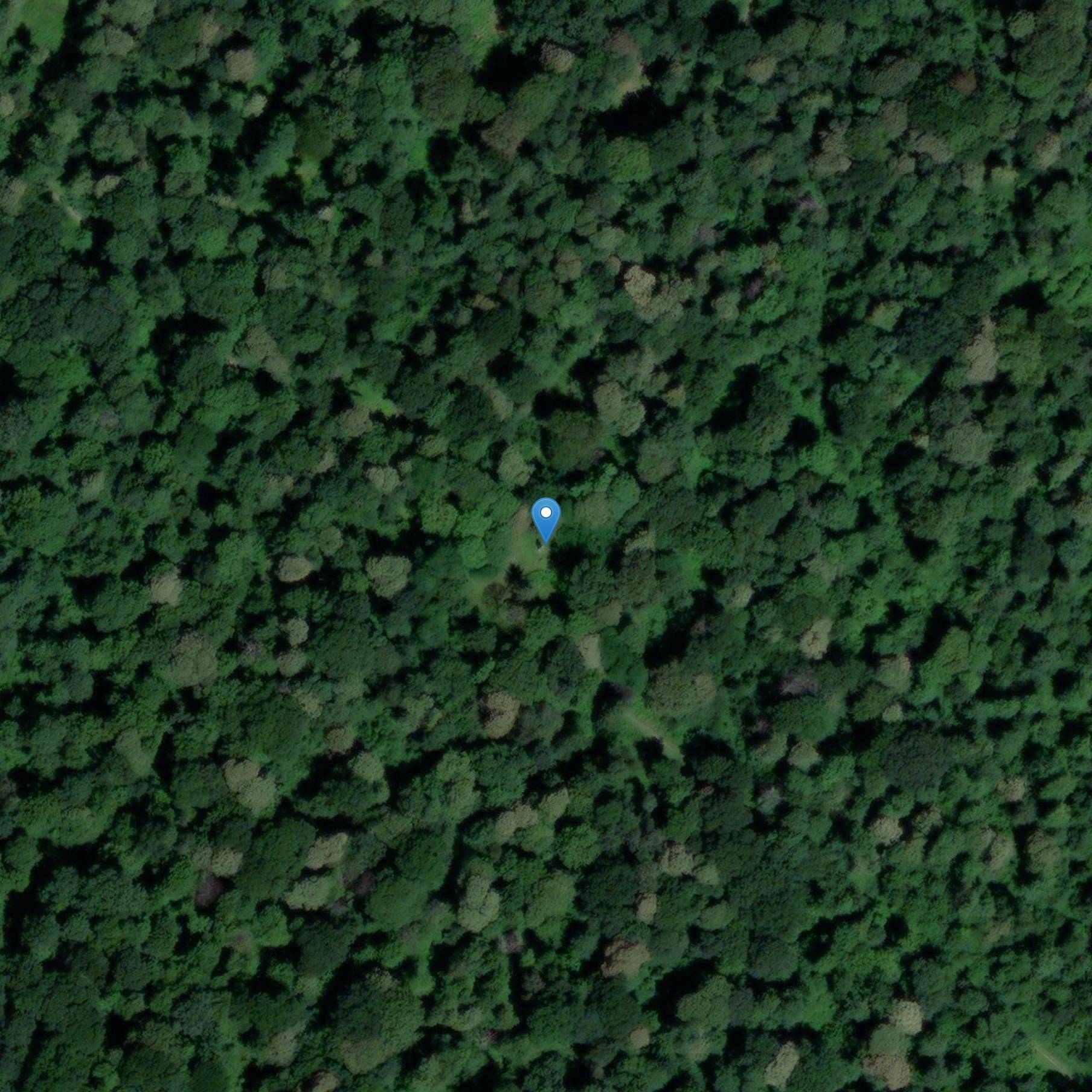 Photo de Monument commémoratif dit La Croix Cesine