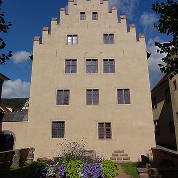 Château des comtes de Montbéliard-Wurtemberg