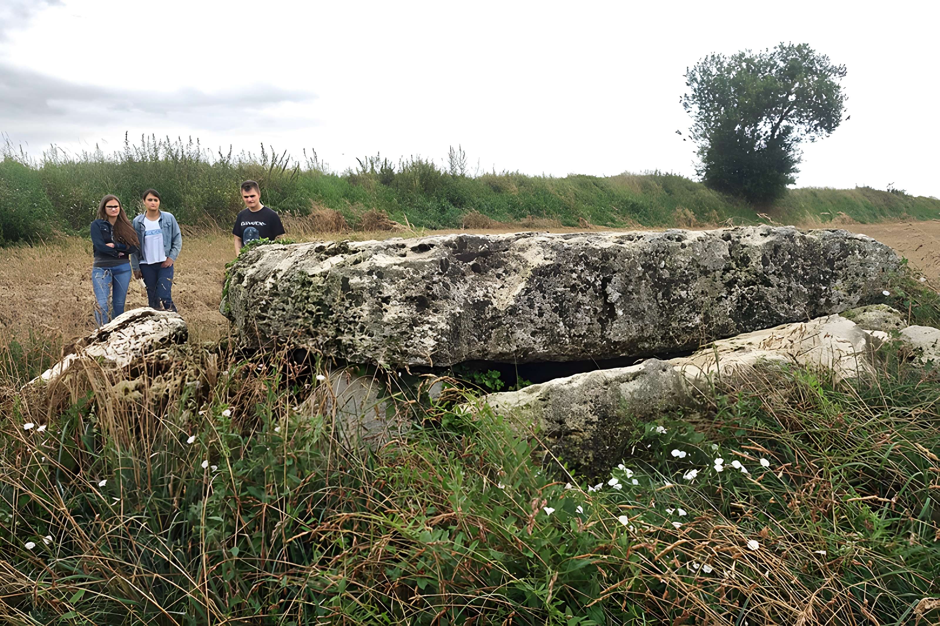 Dolmen dit la Pierre Laye