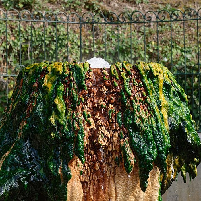 Photo de Sources du Dôme et du Lys