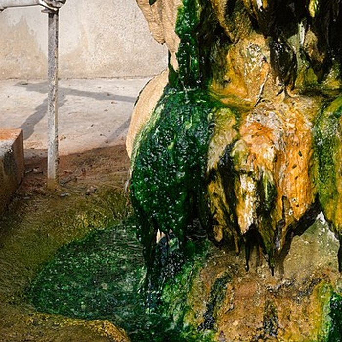 Photo de Sources du Dôme et du Lys