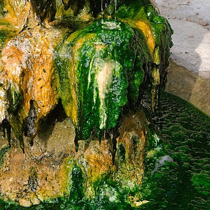 Photo de Sources du Dôme et du Lys