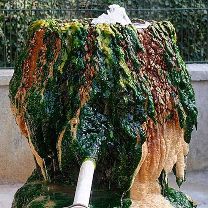 Photo de Sources du Dôme et du Lys