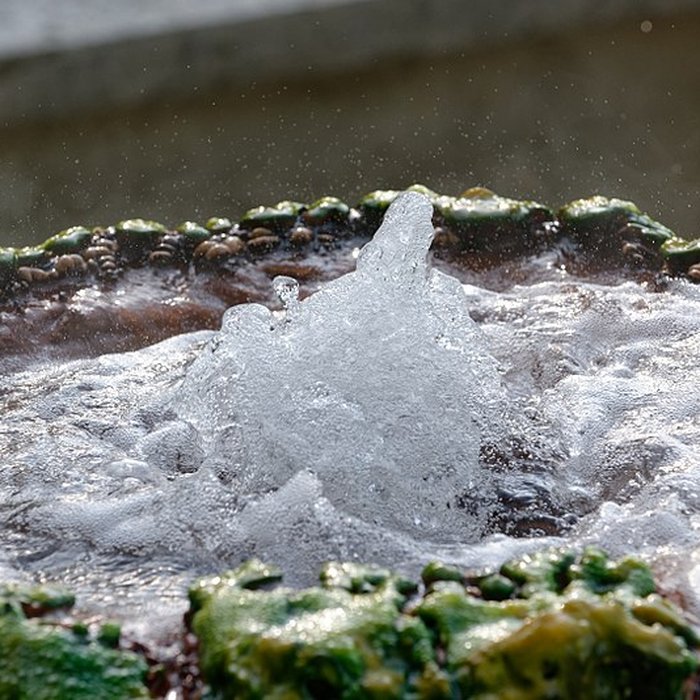 Photo de Sources du Dôme et du Lys