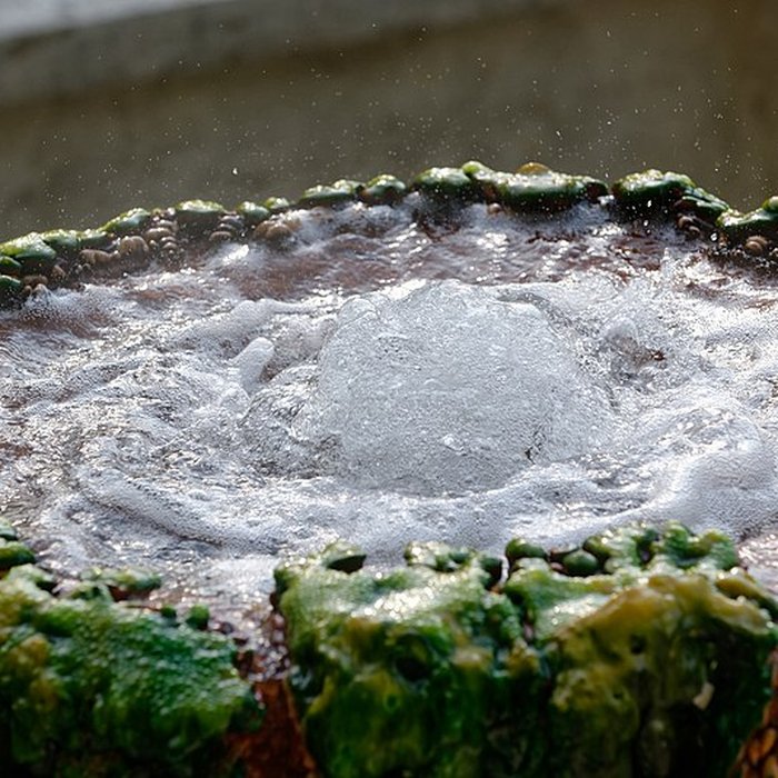 Photo de Sources du Dôme et du Lys