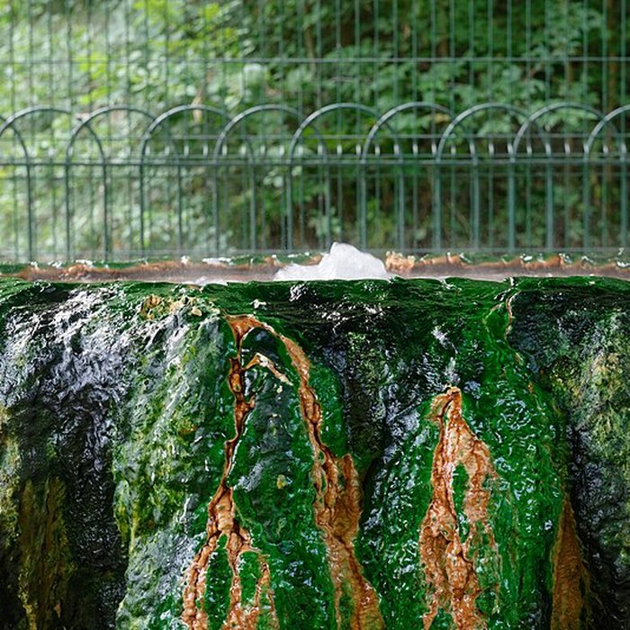 Photo de Sources du Dôme et du Lys