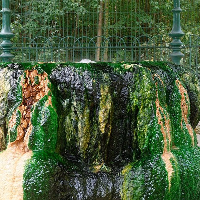 Photo de Sources du Dôme et du Lys