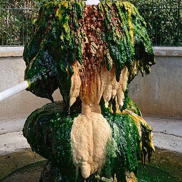 Sources du Dôme et du Lys