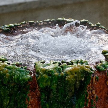 Sources du Dôme et du Lys