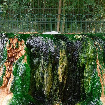 Sources du Dôme et du Lys