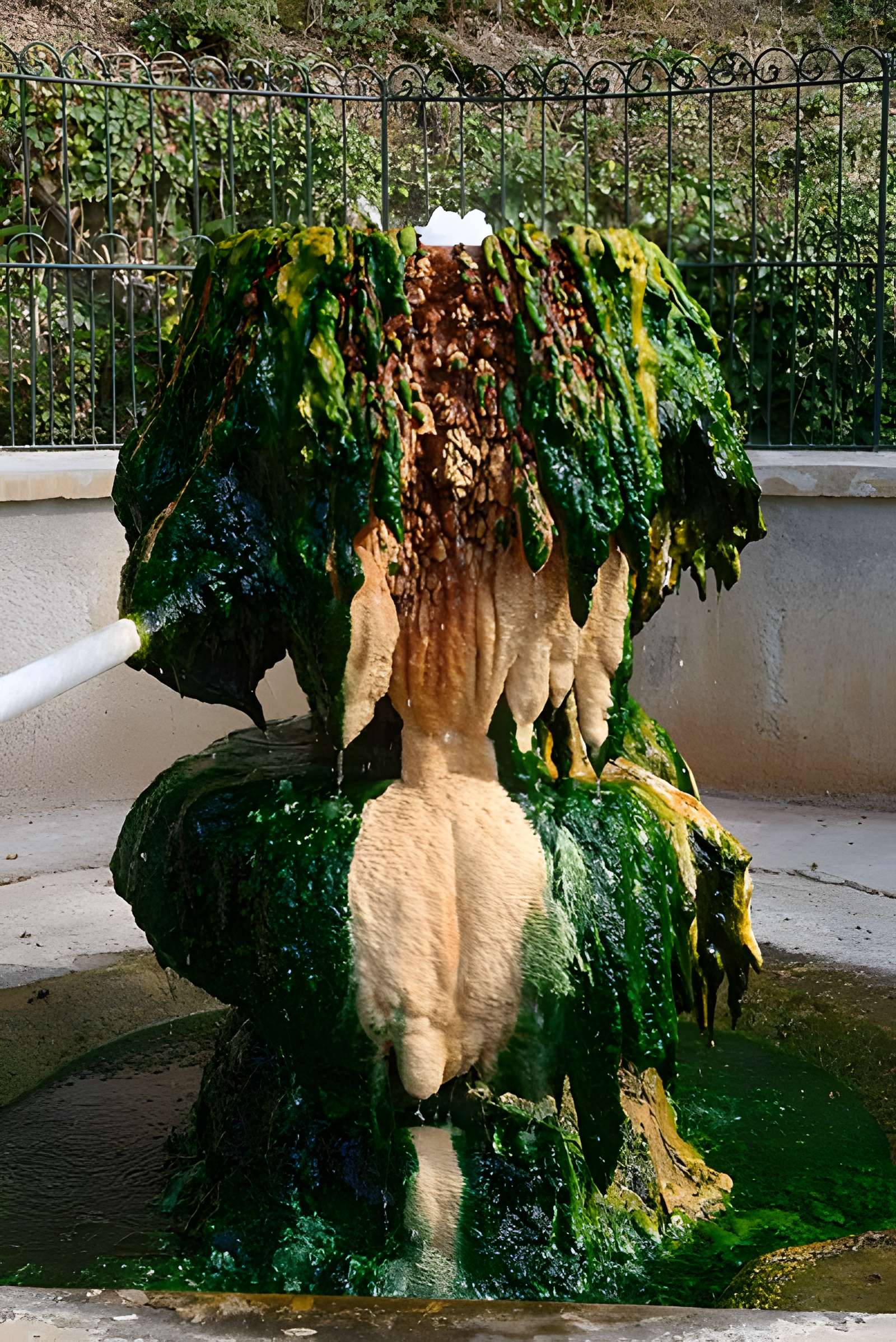 Sources du Dôme et du Lys