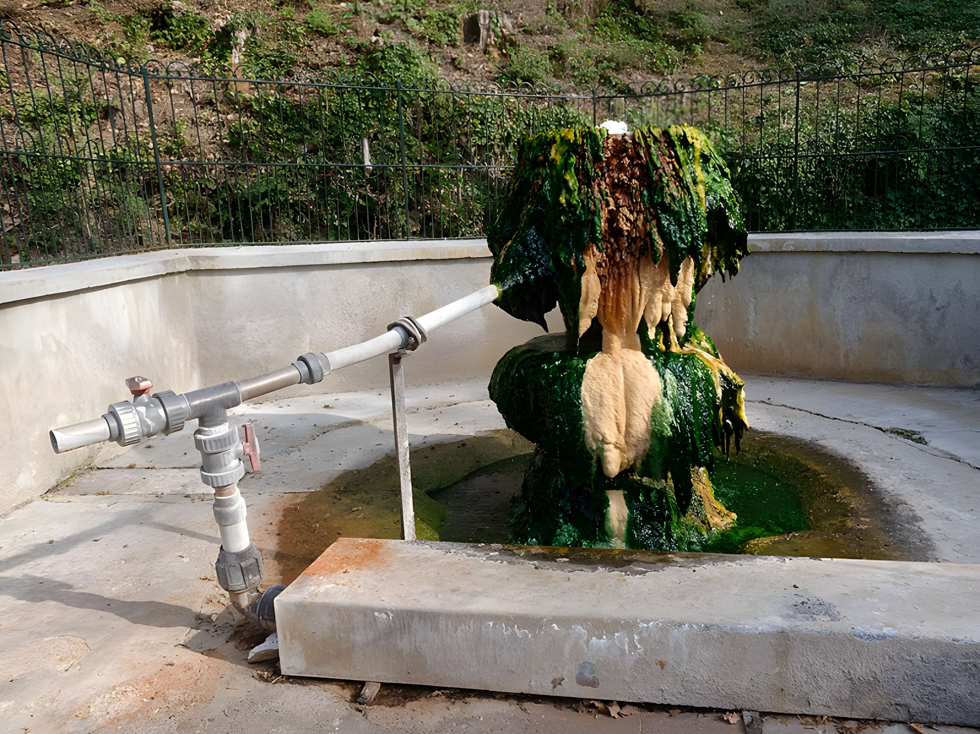 Sources du Dôme et du Lys