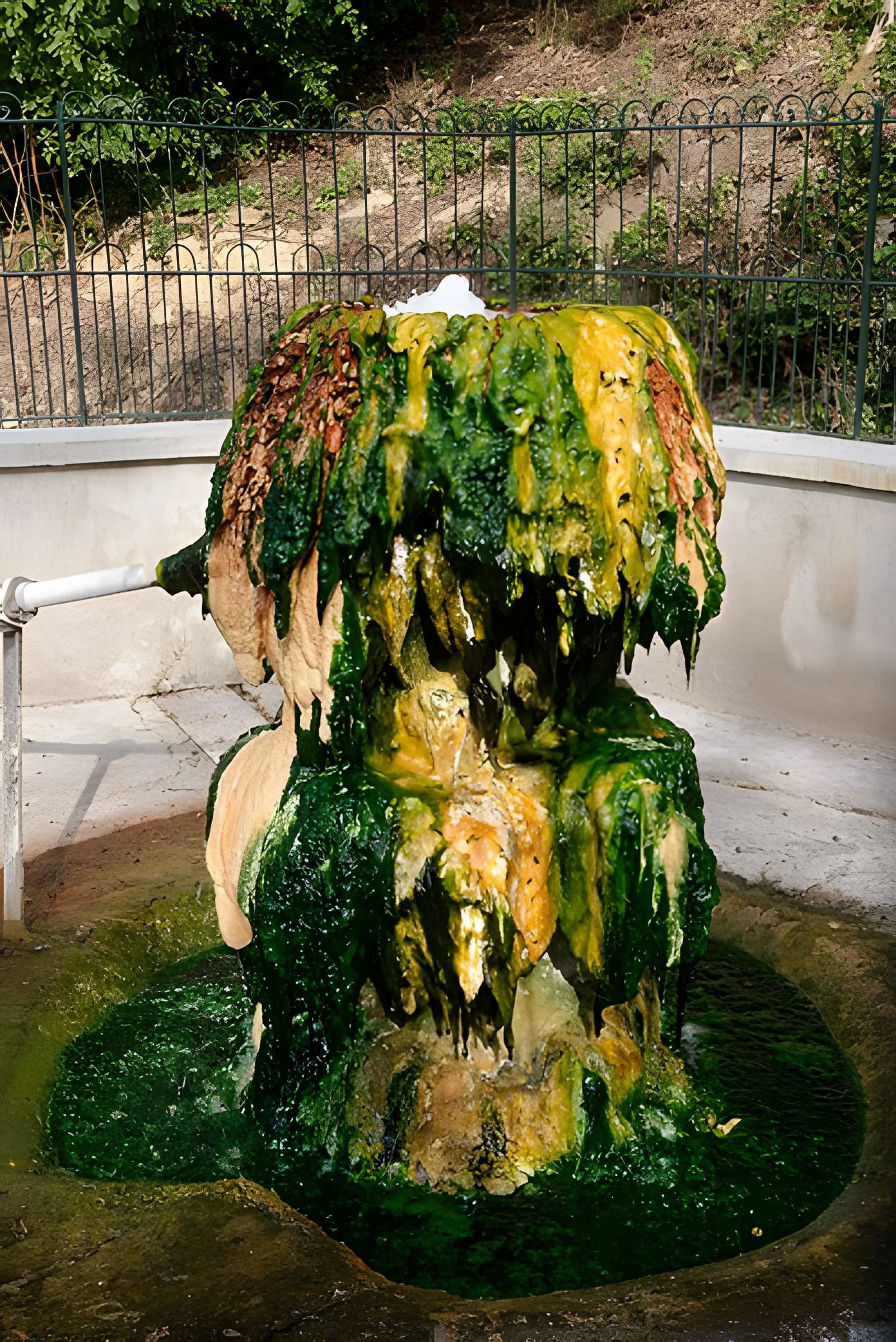 Sources du Dôme et du Lys