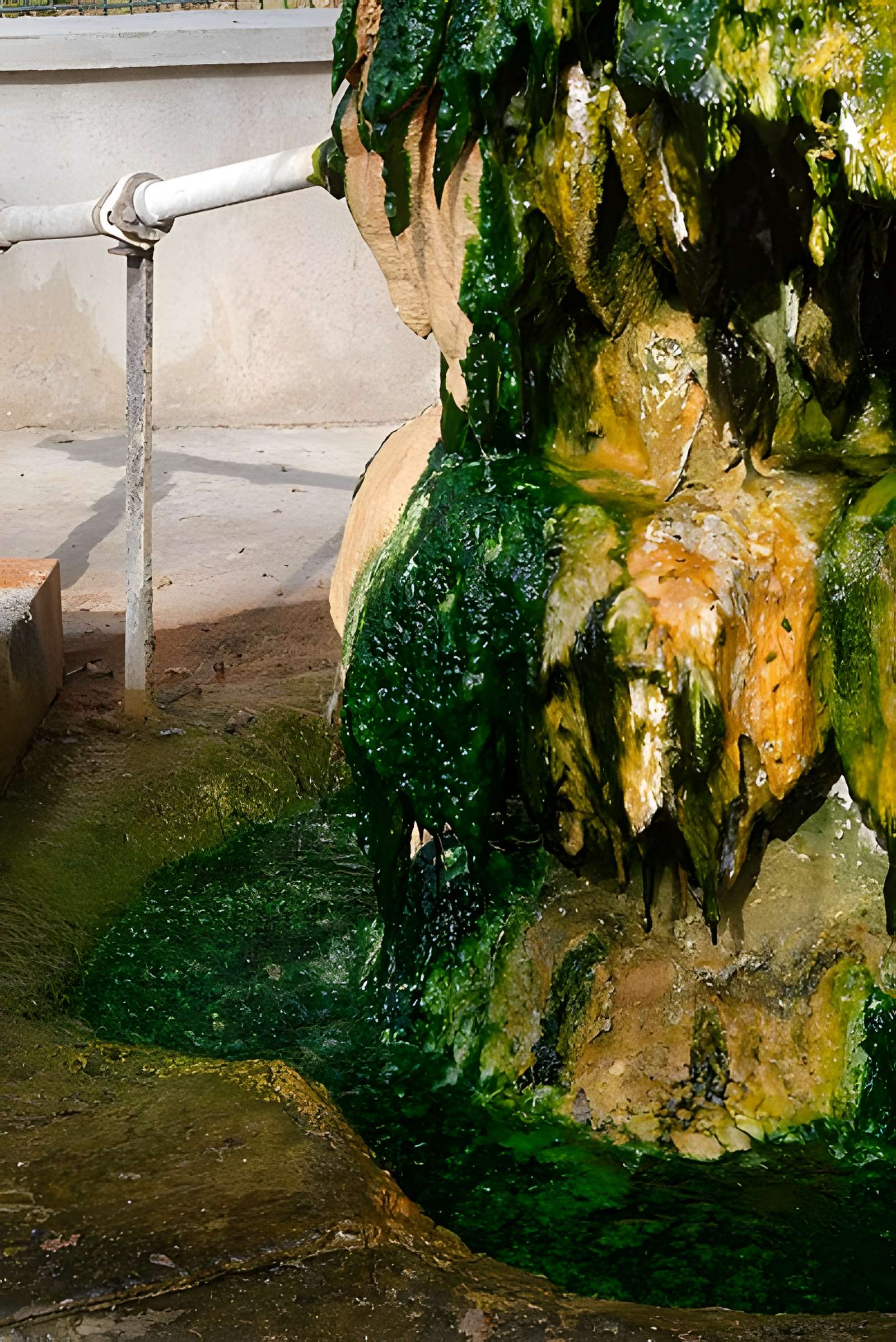 Sources du Dôme et du Lys