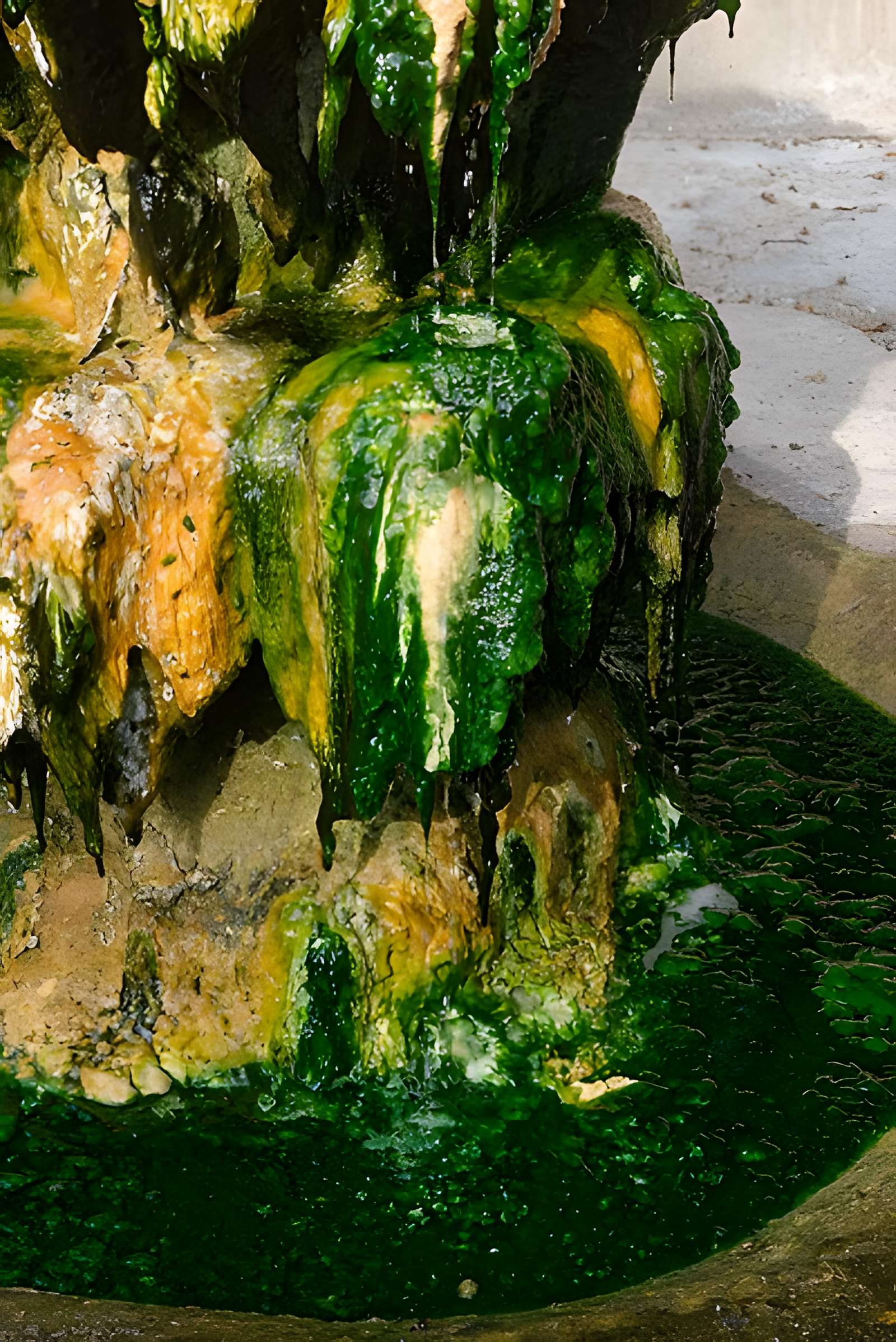 Sources du Dôme et du Lys