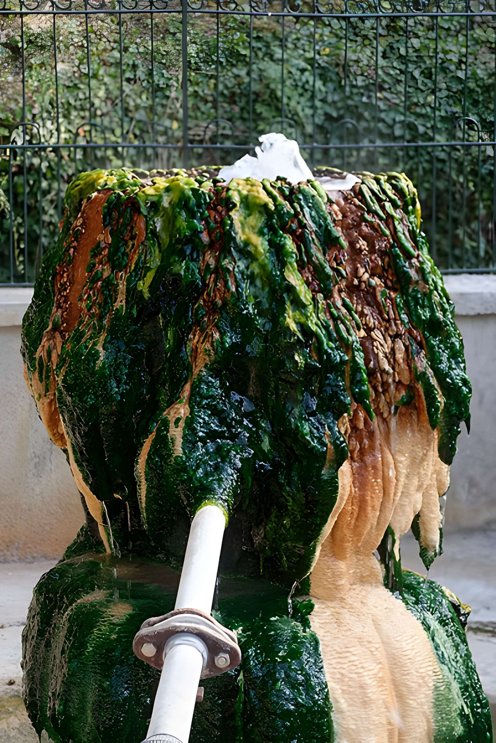 Sources du Dôme et du Lys