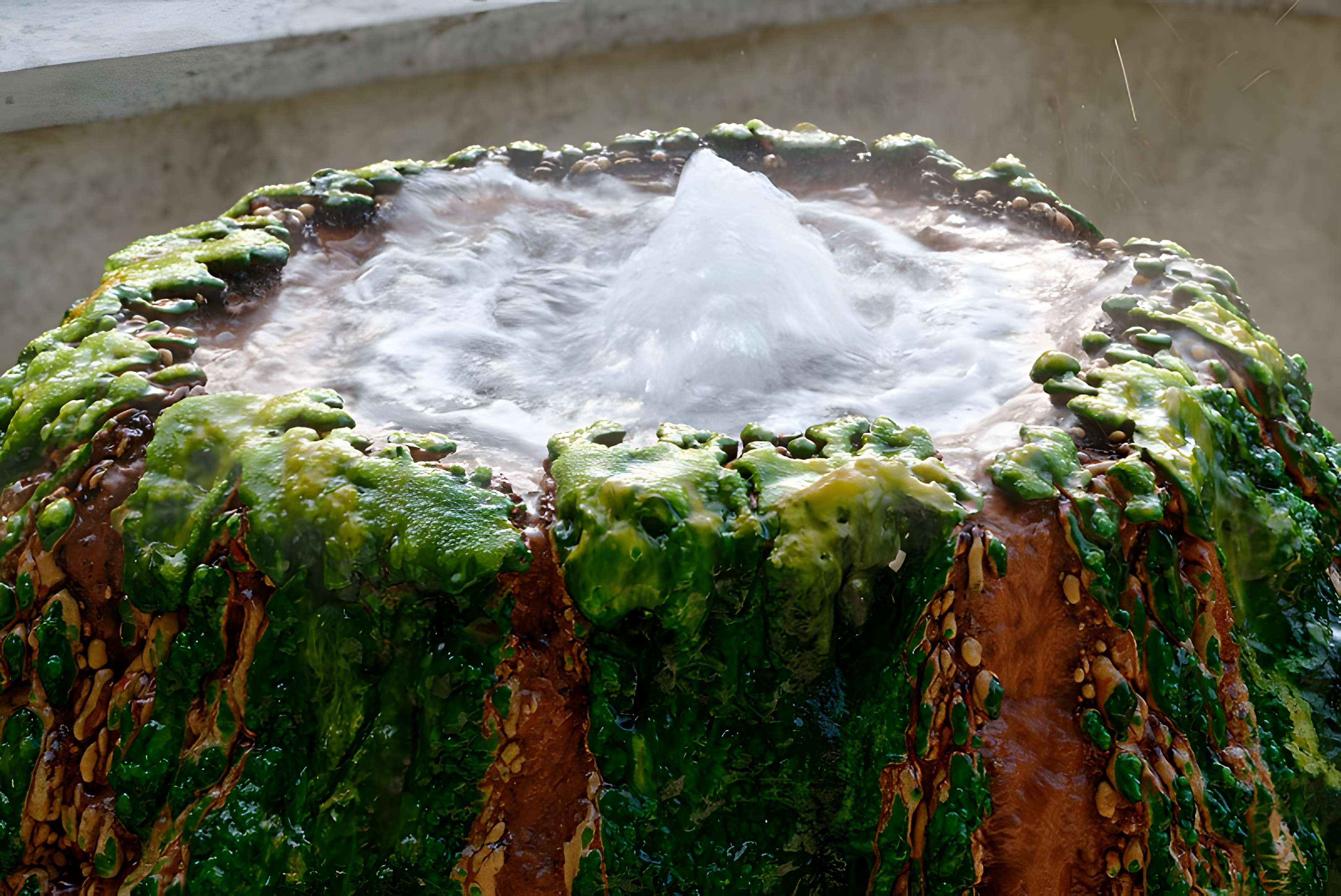 Sources du Dôme et du Lys