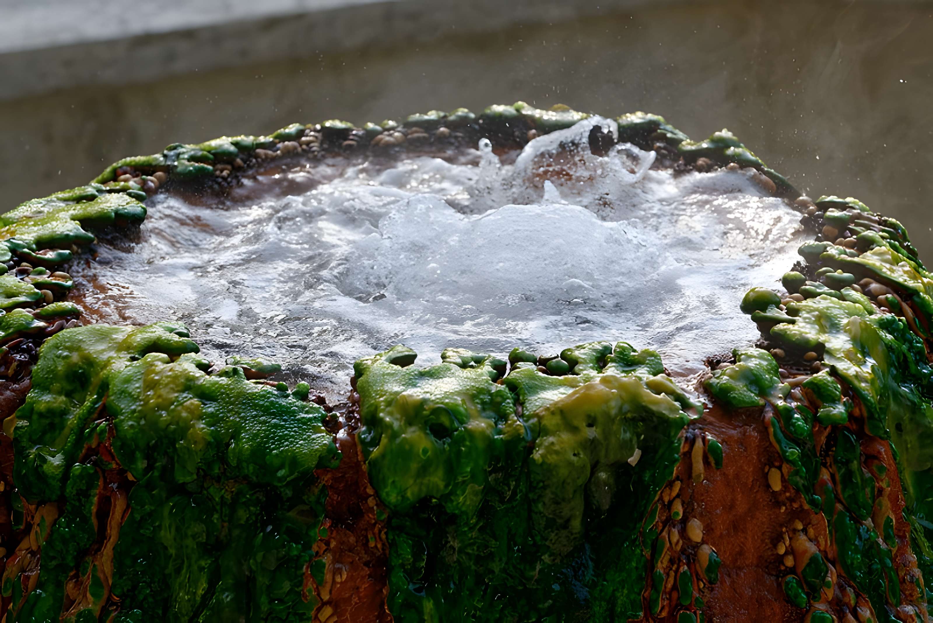 Sources du Dôme et du Lys