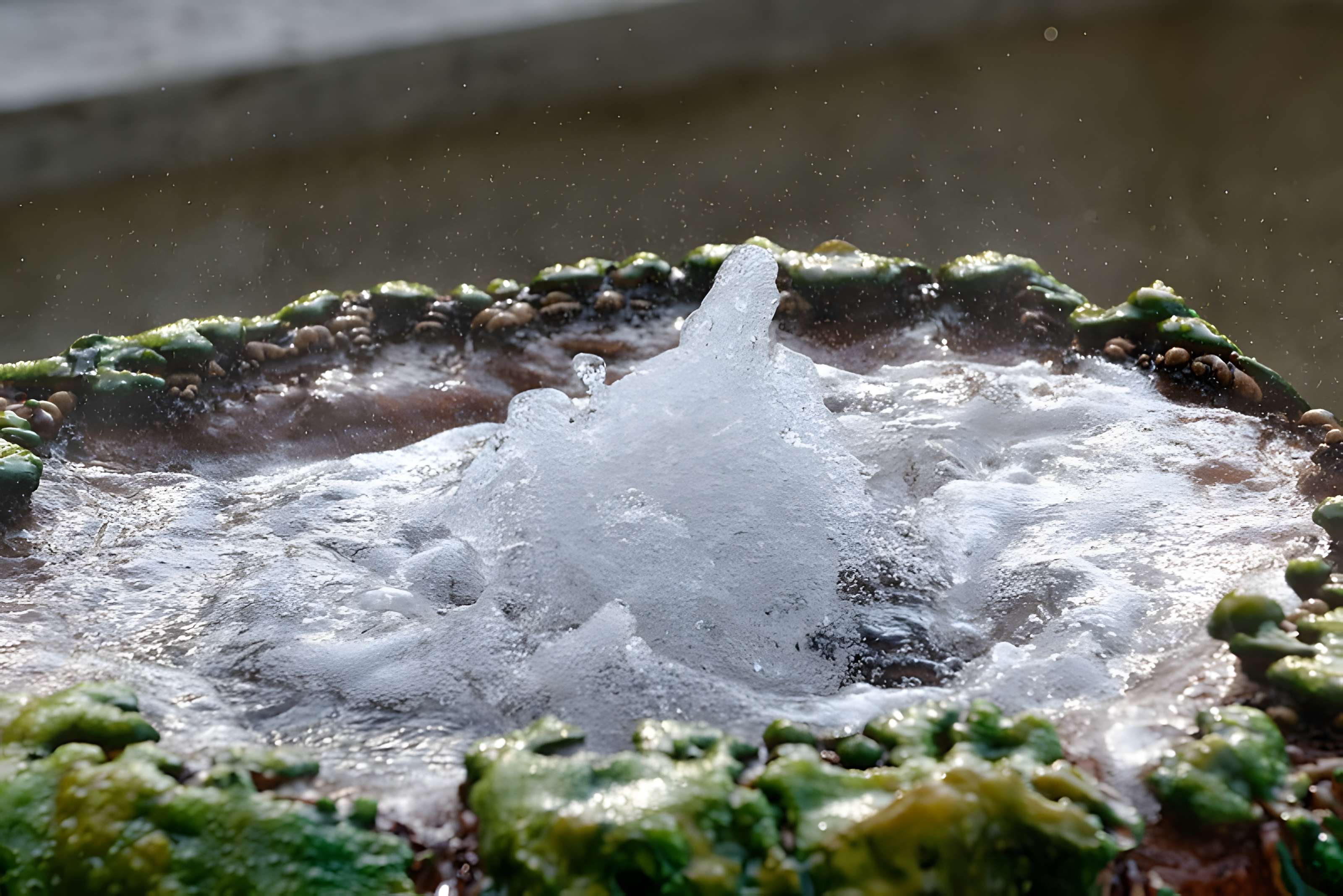 Sources du Dôme et du Lys