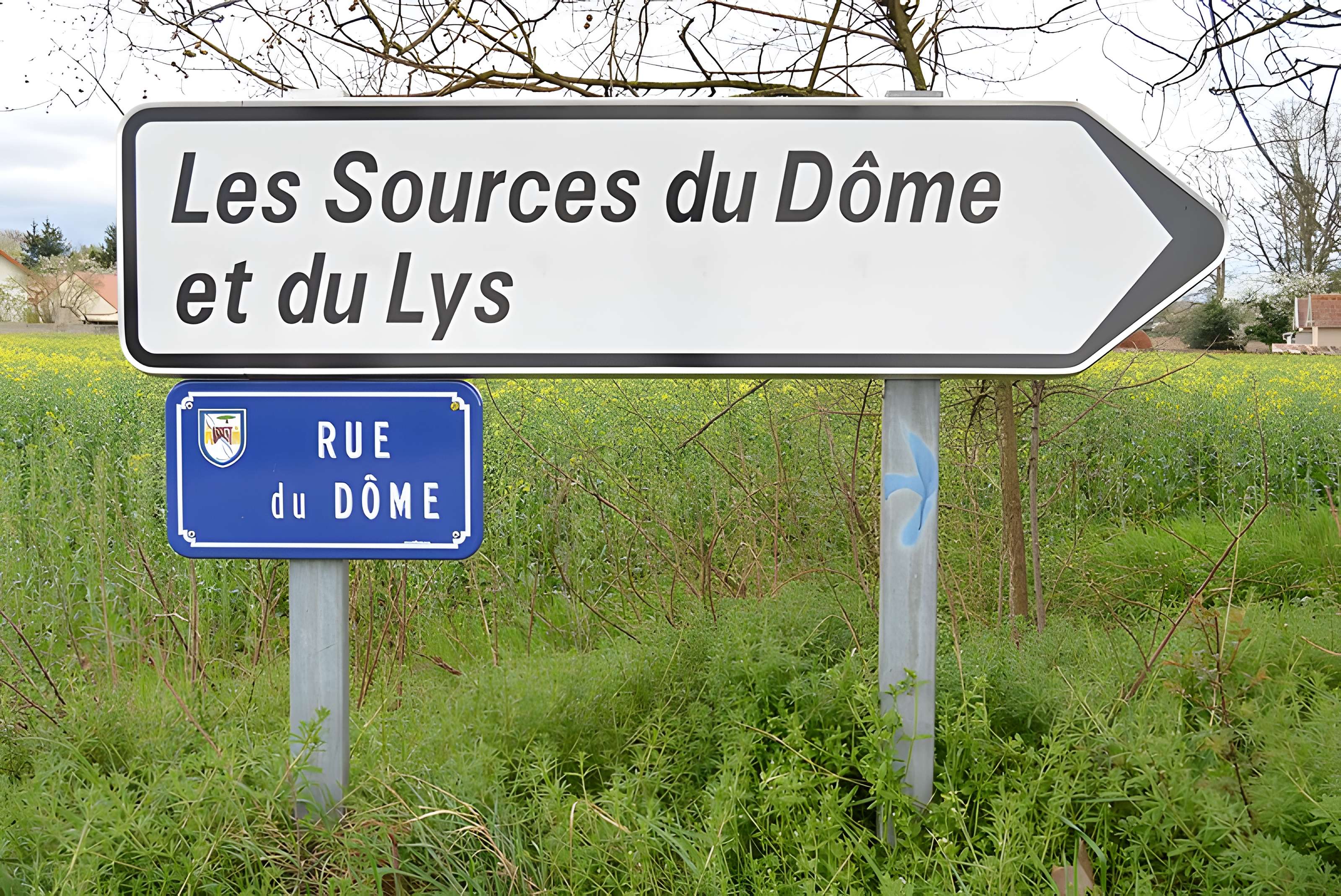 Sources du Dôme et du Lys