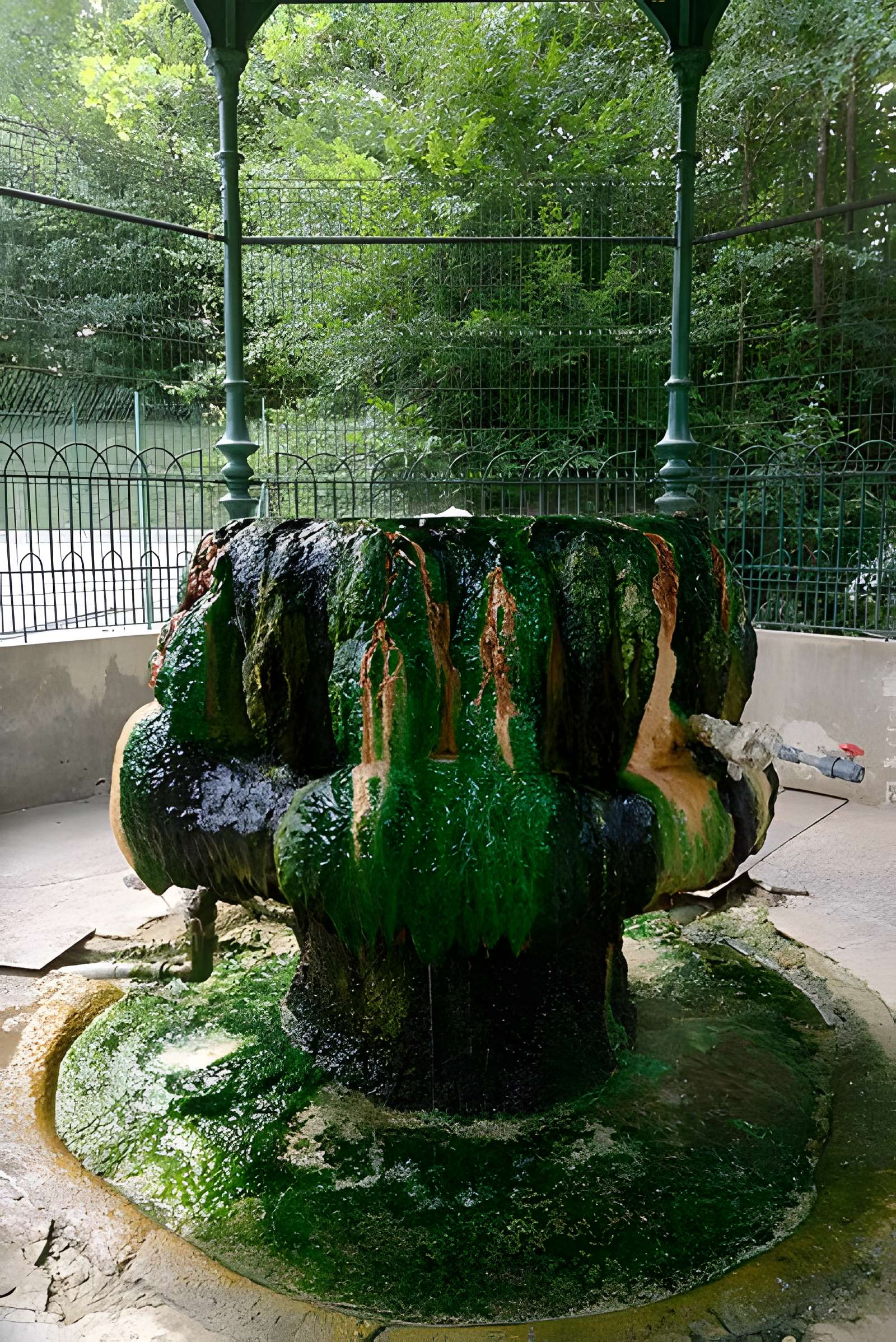 Sources du Dôme et du Lys