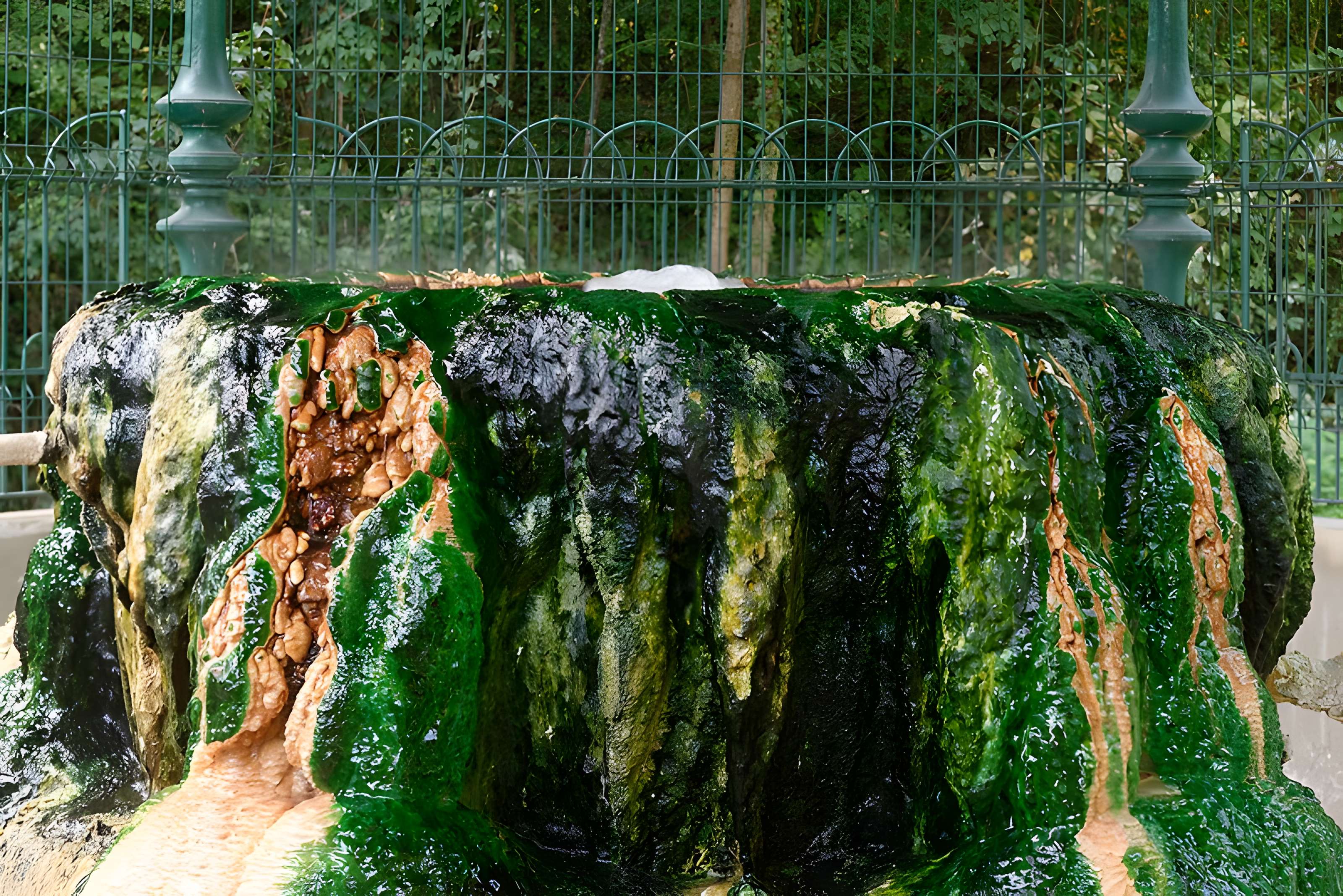 Sources du Dôme et du Lys