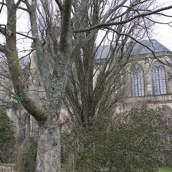 Photo de Cathédrale Saint-Étienne de Limoges