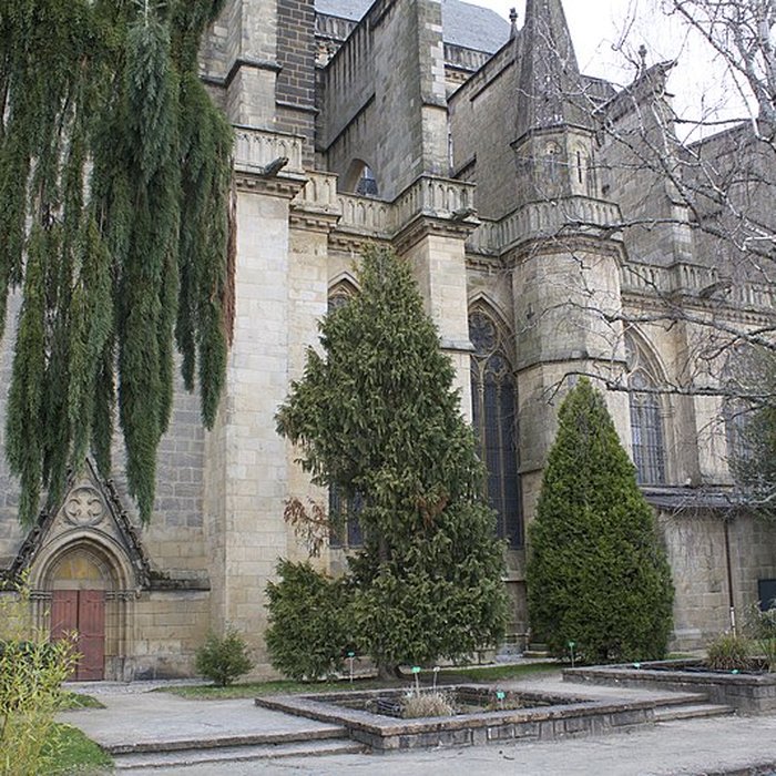 Photo de Cathédrale Saint-Étienne de Limoges
