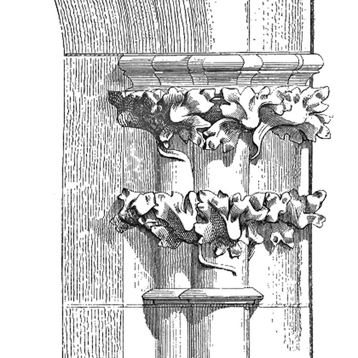 Photo de Cathédrale Saint-Étienne de Limoges