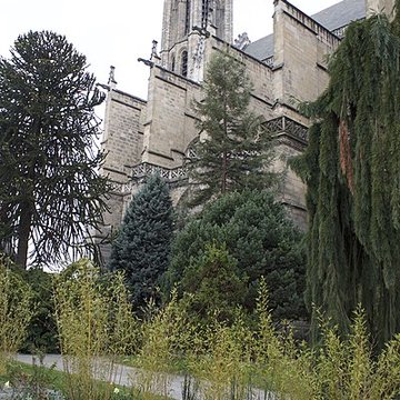 Cathédrale Saint-Étienne de Limoges