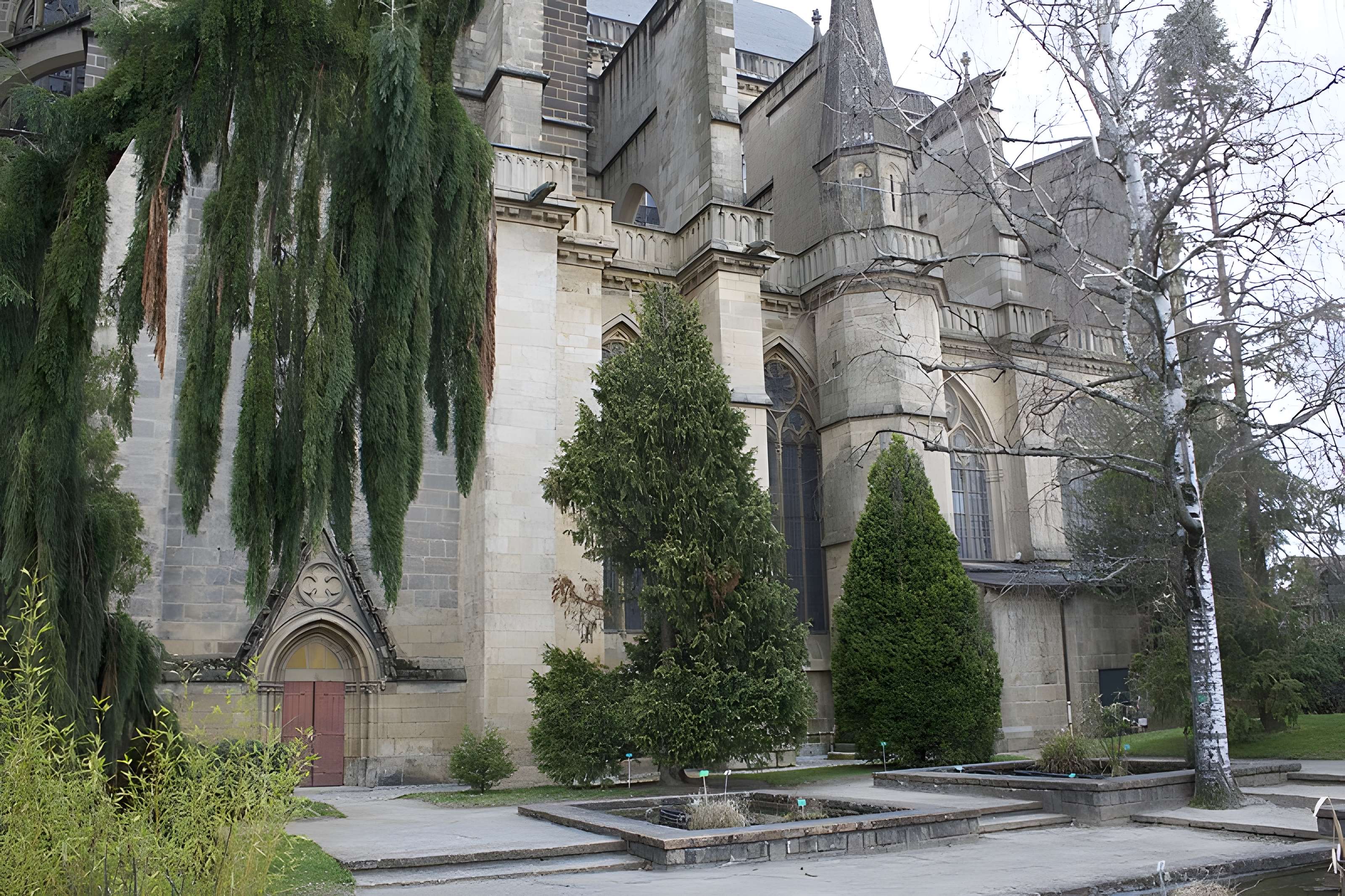 Cathédrale Saint-Étienne de Limoges
