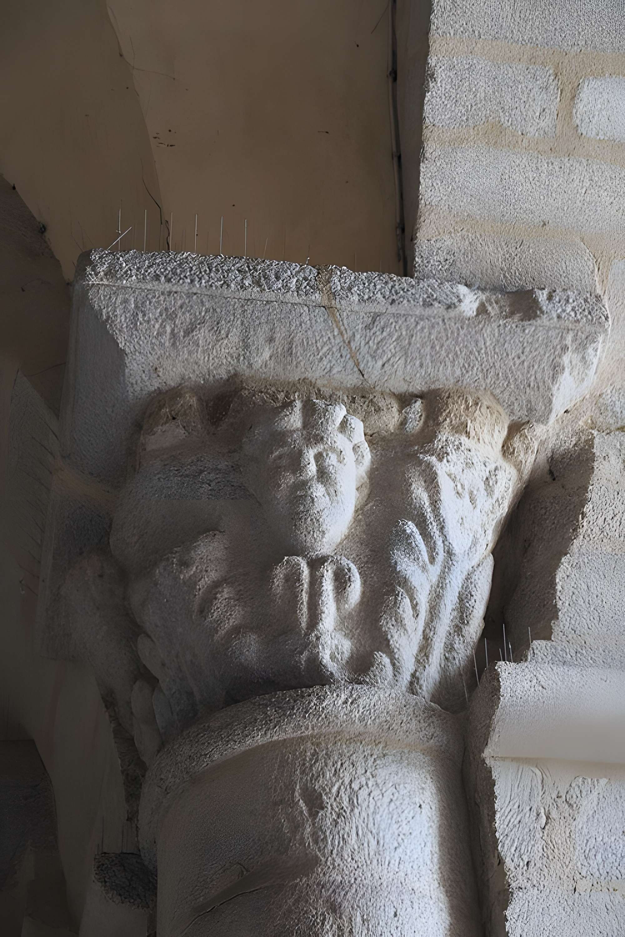 Cathédrale Saint-Étienne de Limoges