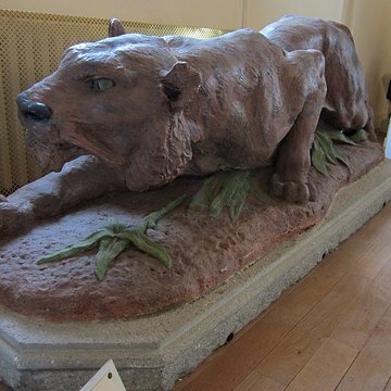 Château des Matignon