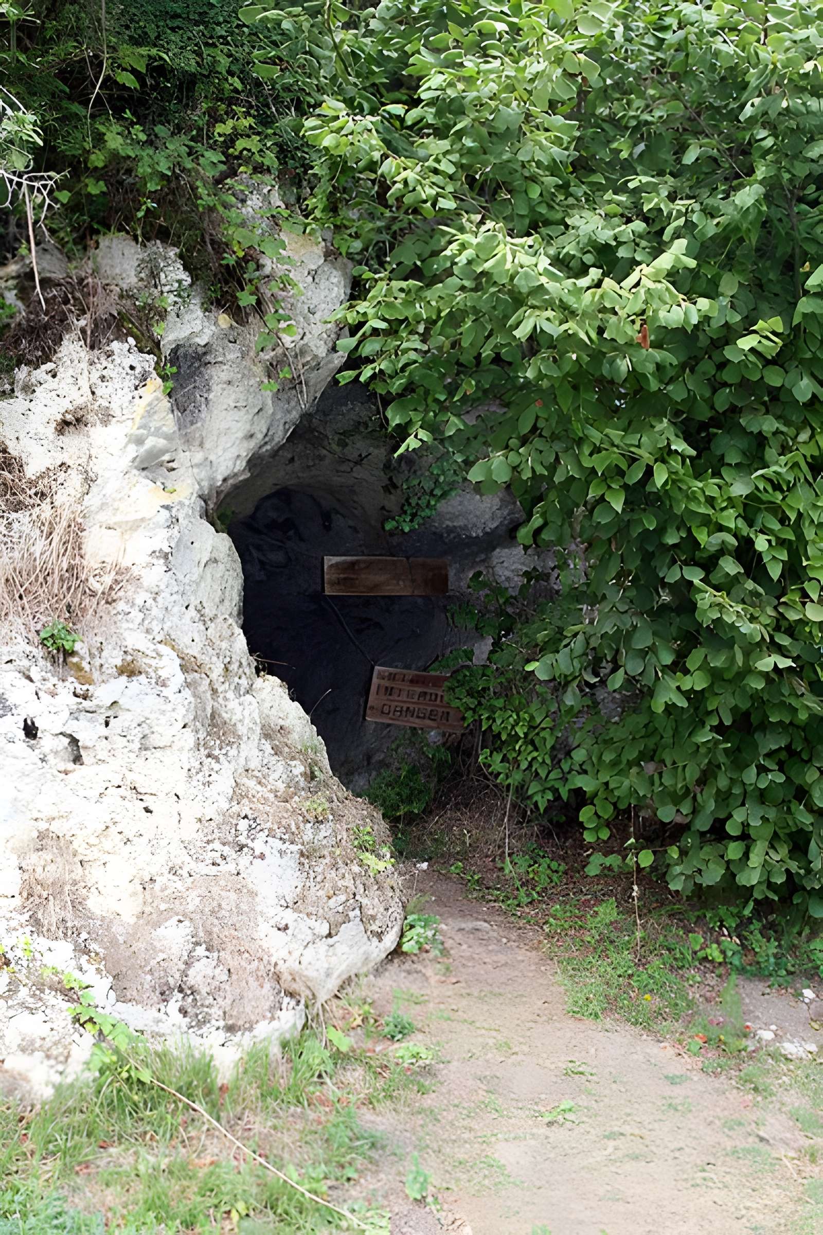 Deux grottes préhistoriques situées dans le domaine des Bernards