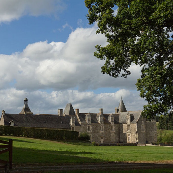 Photo de Château des Nétumières