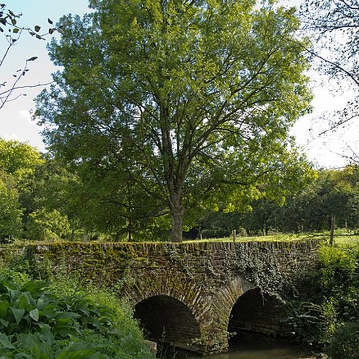 Photo de Château des Nétumières
