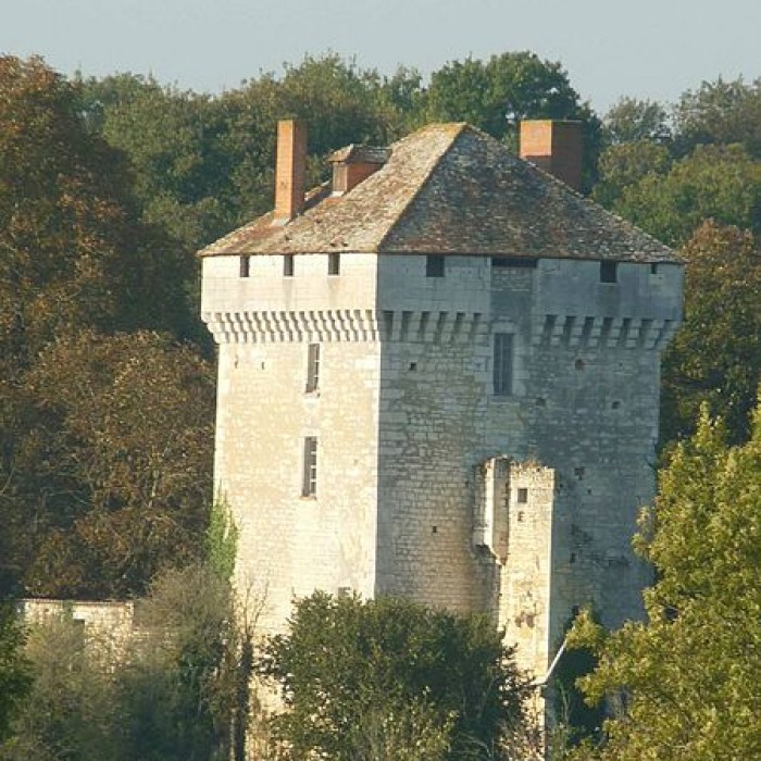 Photo de Château des Pins