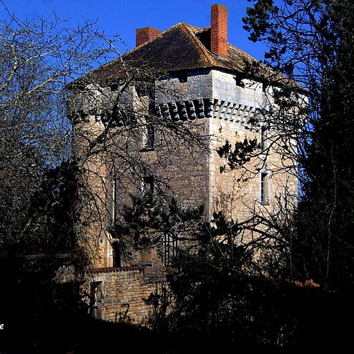 Photo de Château des Pins