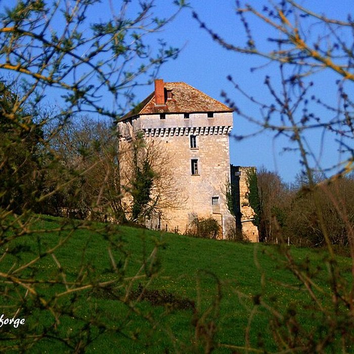Photo de Château des Pins