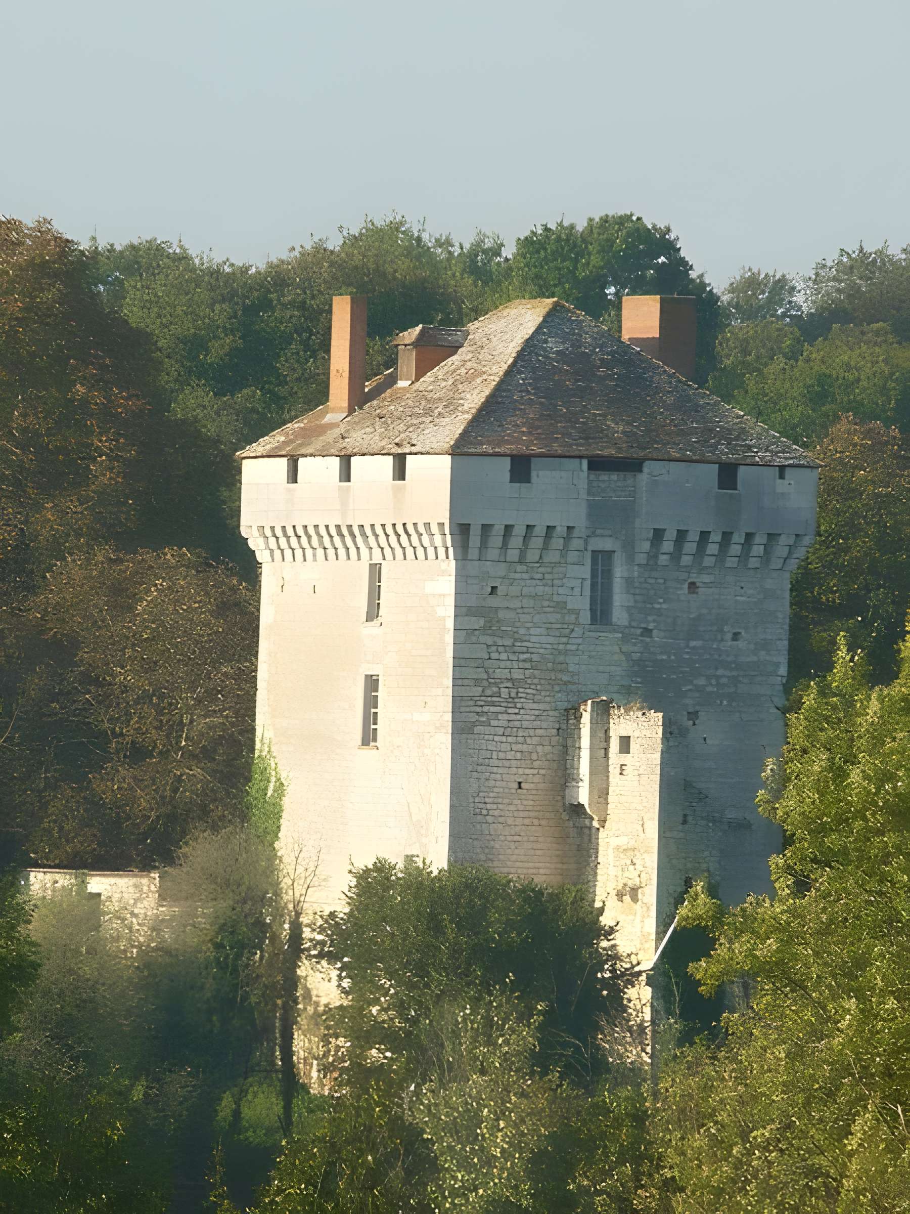 Château des Pins 