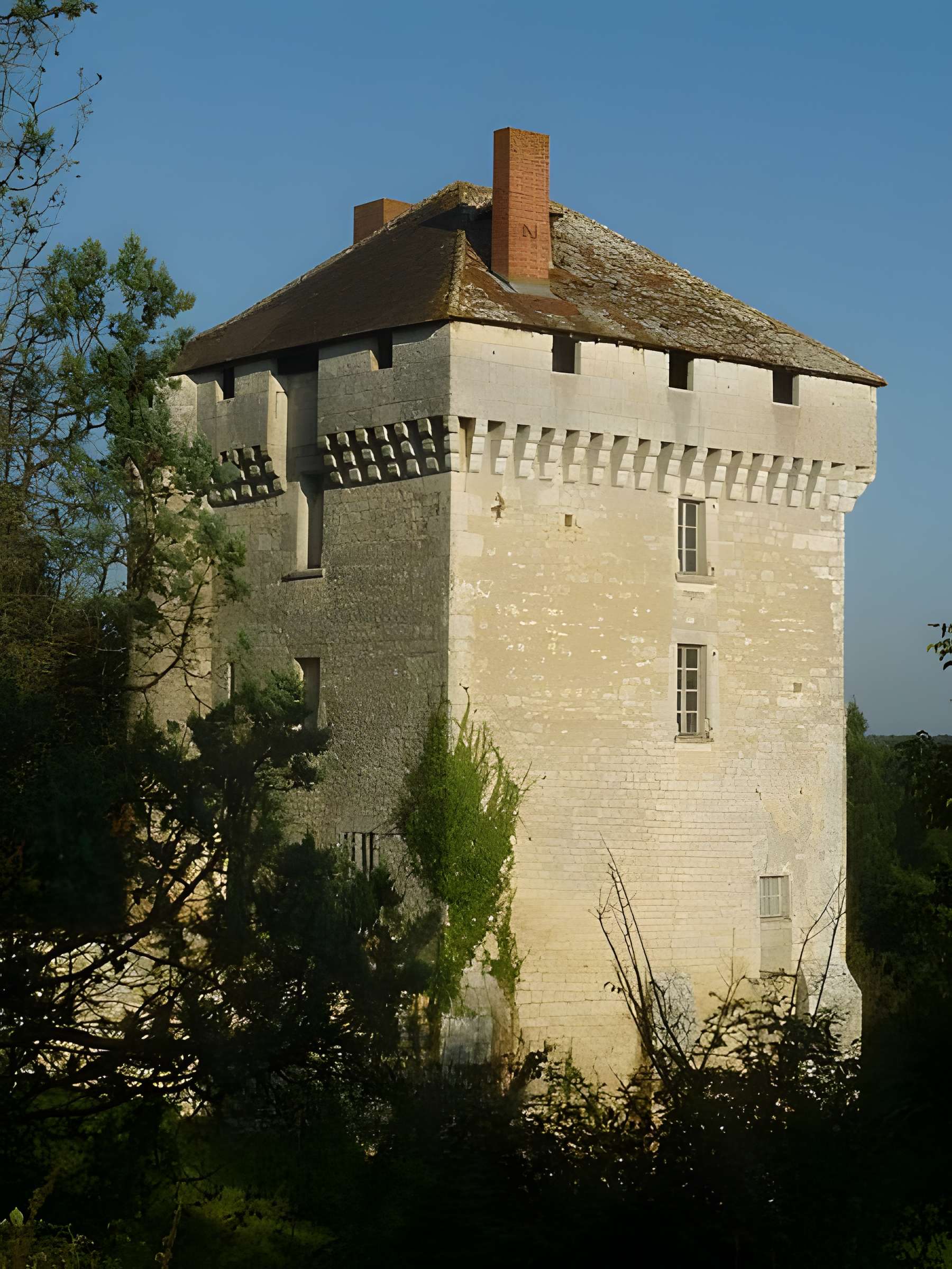 Château des Pins