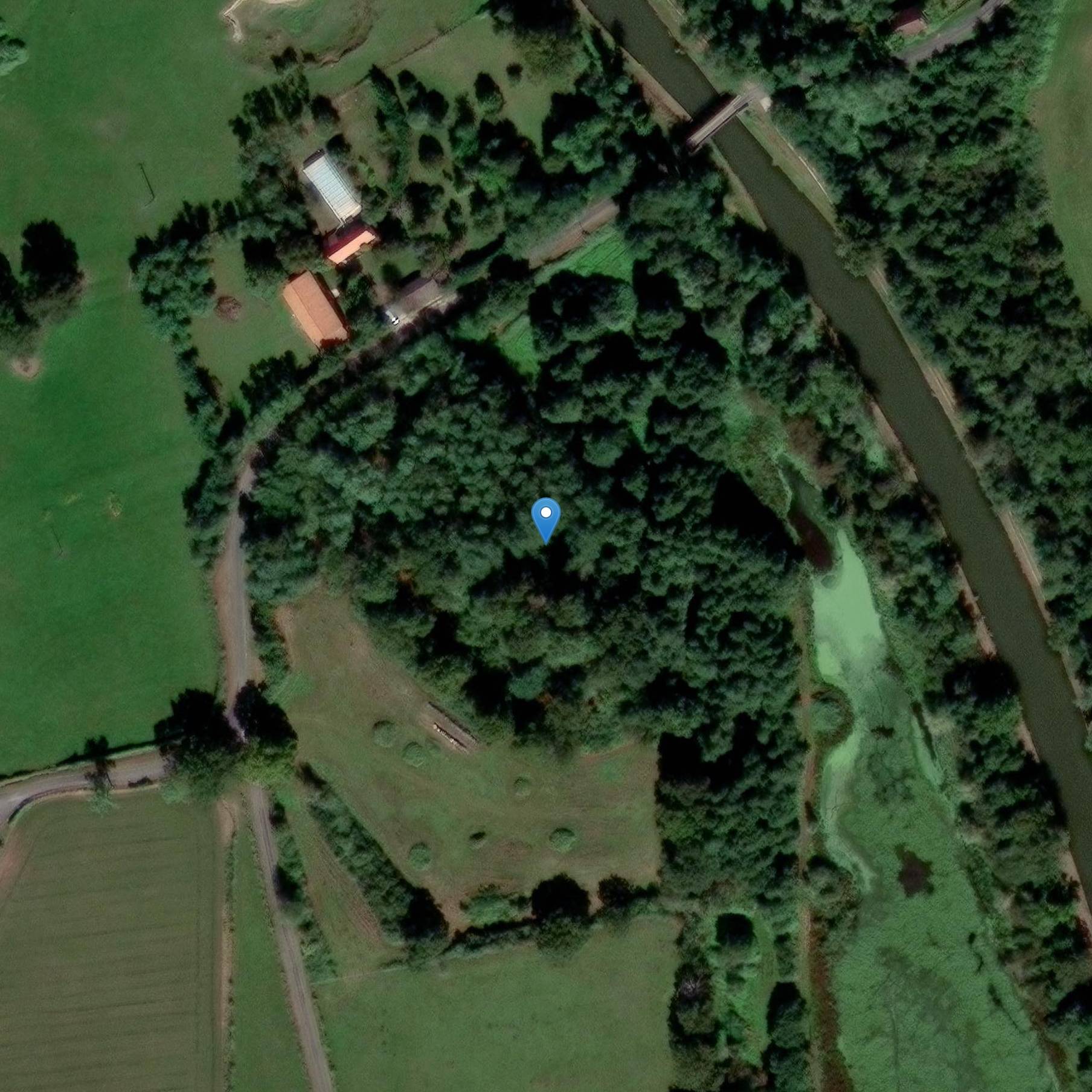 Photo de カスチュラル・モッテ・デ・マイトルズ・ジャン