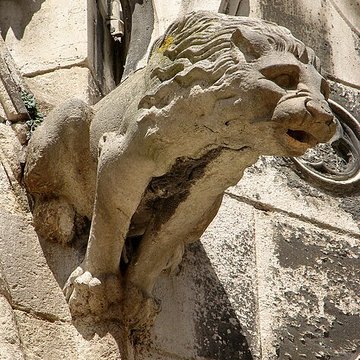 Cathédrale Saint-Étienne de Meaux