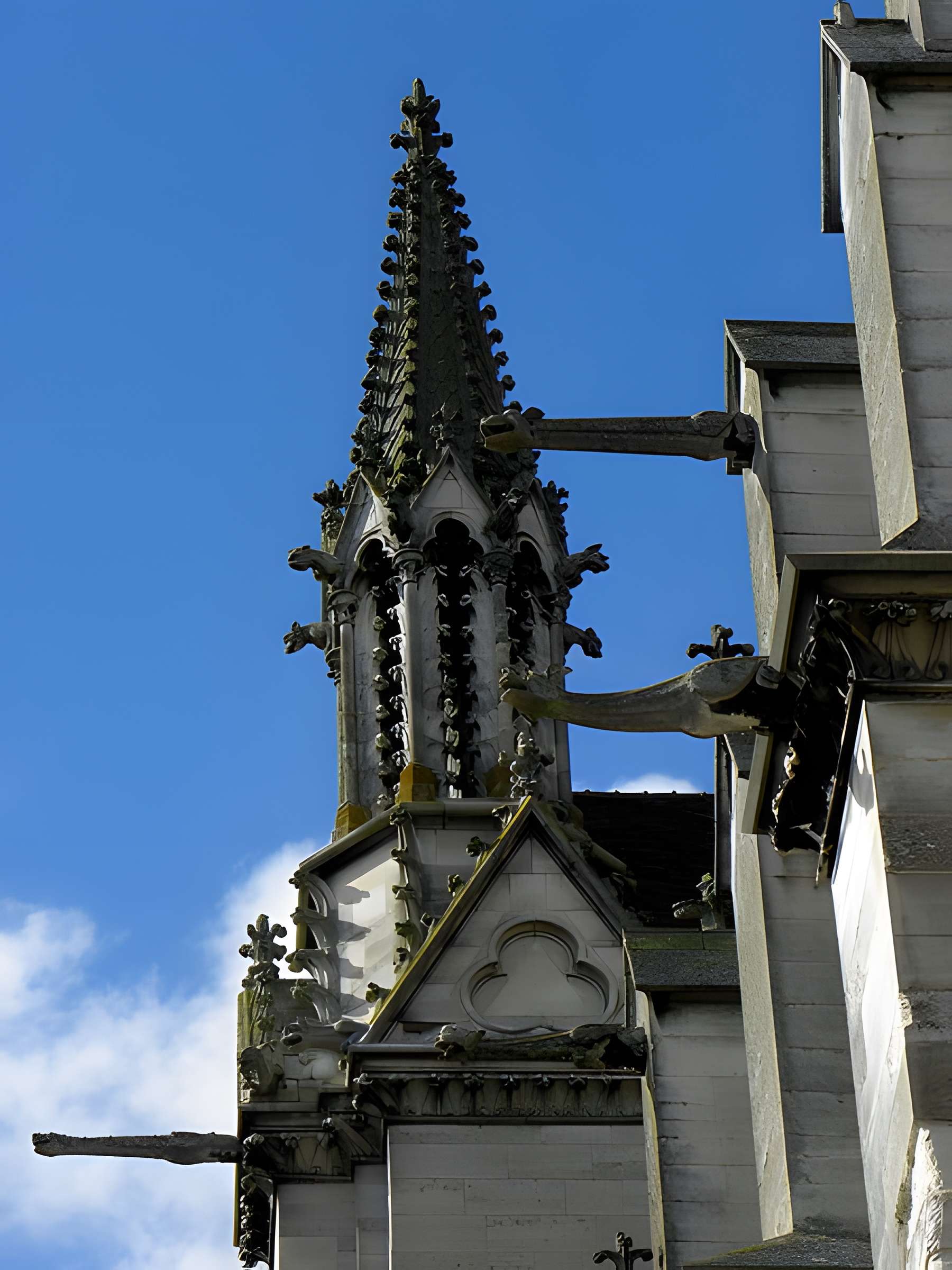 Cathédrale Saint-Étienne de Meaux