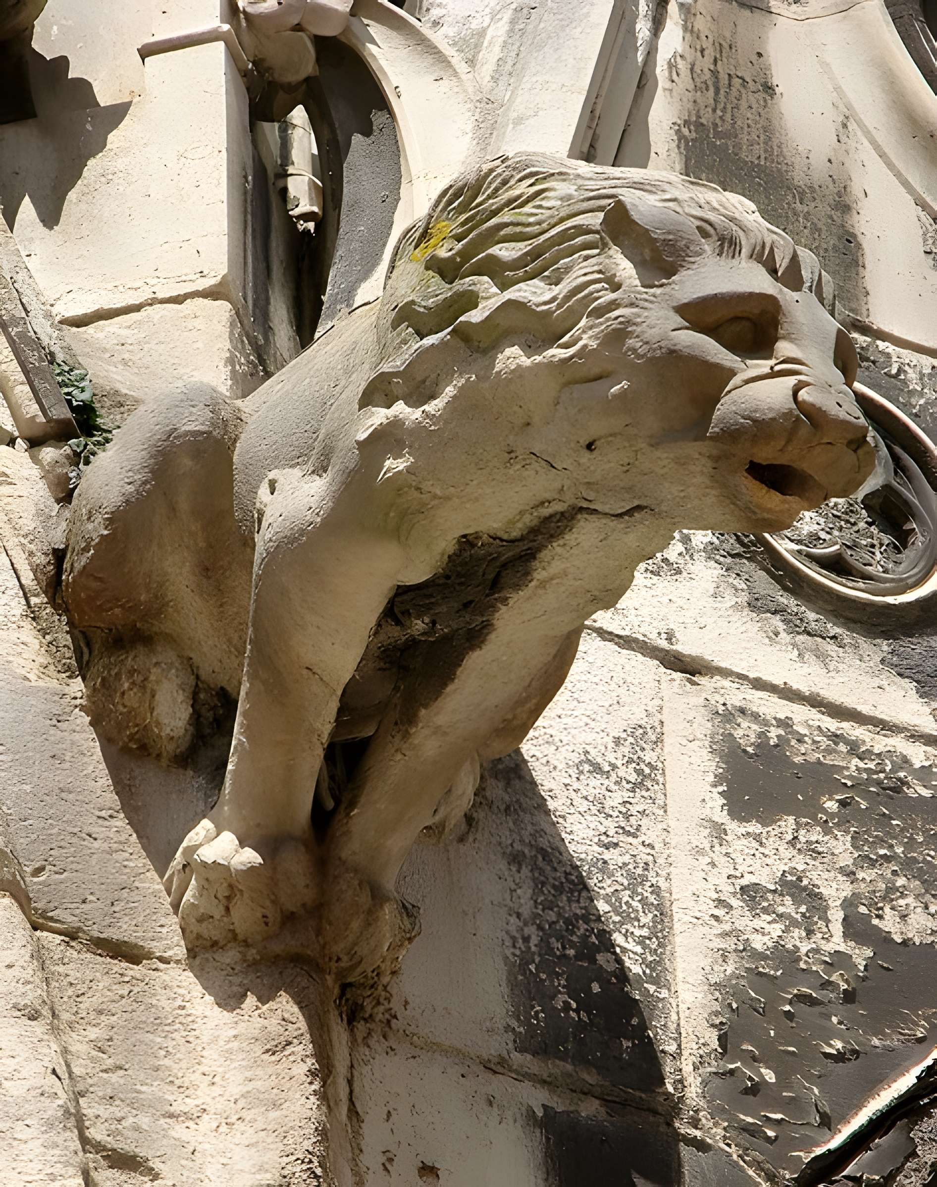 Cathédrale Saint-Étienne de Meaux